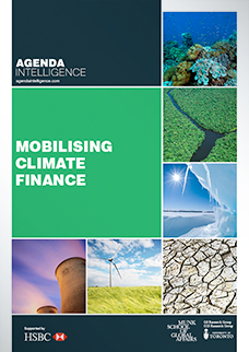 Agenda Intelligence: Mobilising Climate Finance